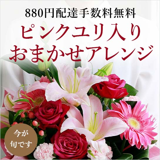 �s���N��������ꂽ���܂����A�����W���z�B�萔������