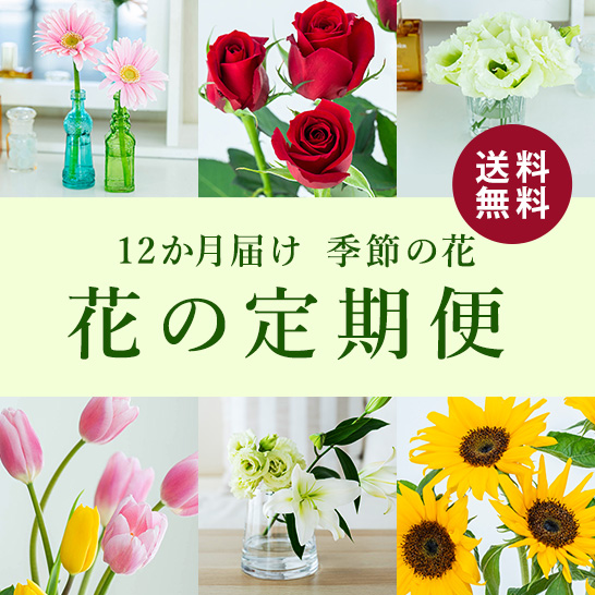 花の贈り物 プレゼント フラワーギフトの通販 フジテレビフラワーネット 花の贈り物 プレゼント フラワーギフトの通販 フジテレビフラワーネット