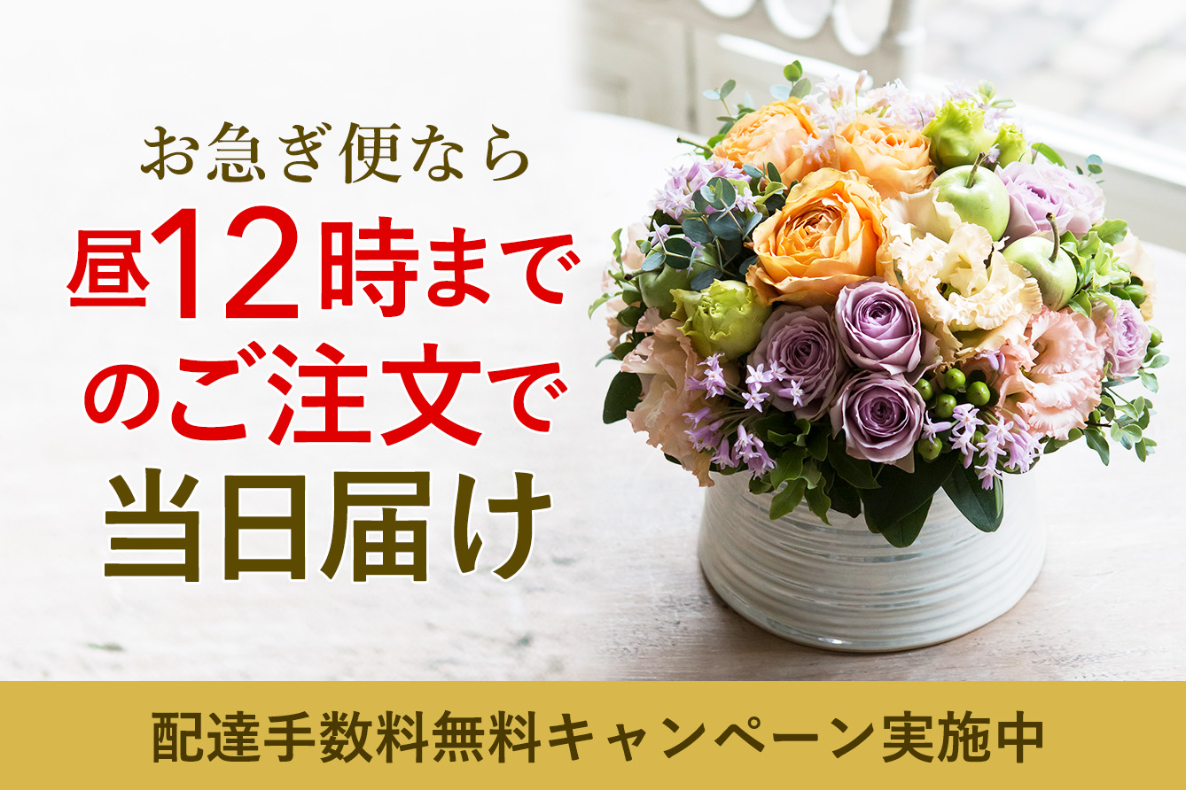 �u���}���ցv�T�[�r�X�z�B�萔��880�~�Ҍ��L�����y�[��