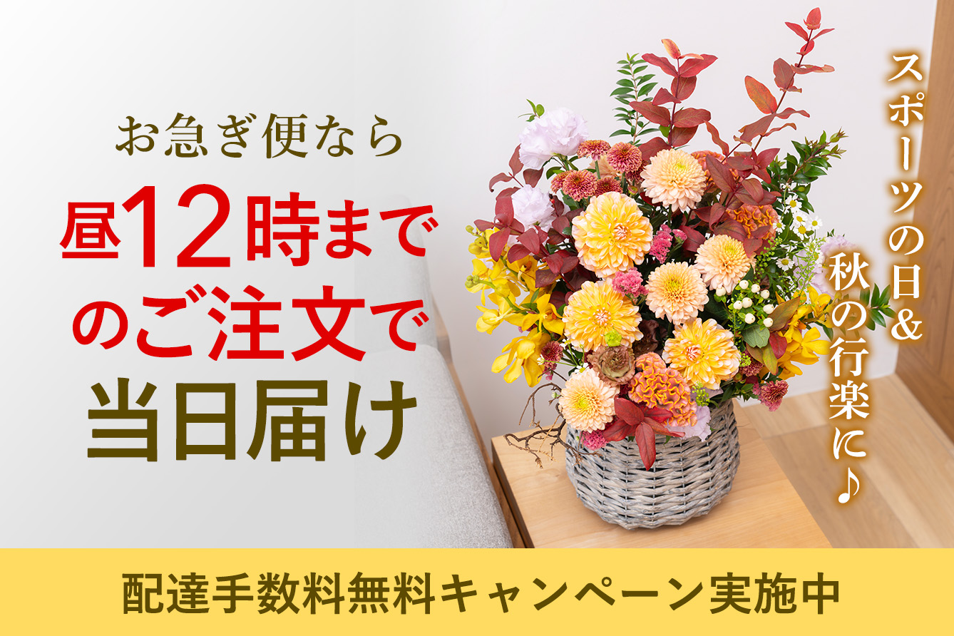 �u���}���ցv�T�[�r�X�z�B�萔��880�~�Ҍ��L�����y�[��