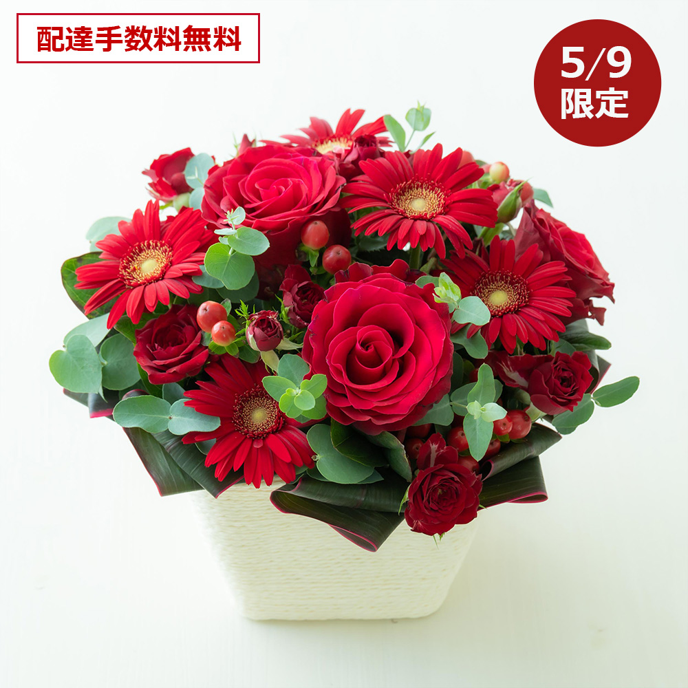 �ً}�J�ÁI5/9�i�y�j����z�B�萔�������M�t�g
