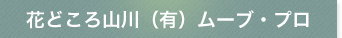 ԂǂRiLj[uEv