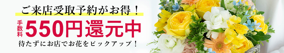 �����X���\��550�~�Ҍ��L�����y�[��