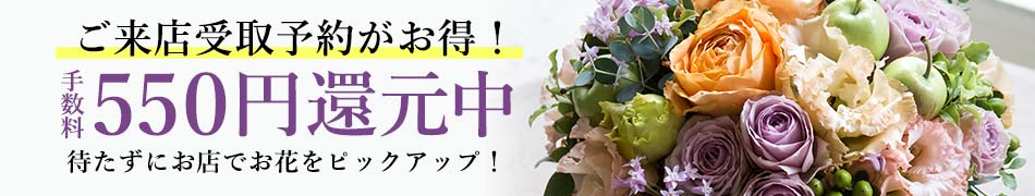 X\550~ҌLy[