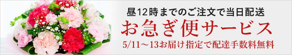�����z�B�I���}���ւ������Ҍ����B��12���܂ł̂������œ������͂��B���p�r�ɉ����ĊȒP�Z�~�I�[�_�[