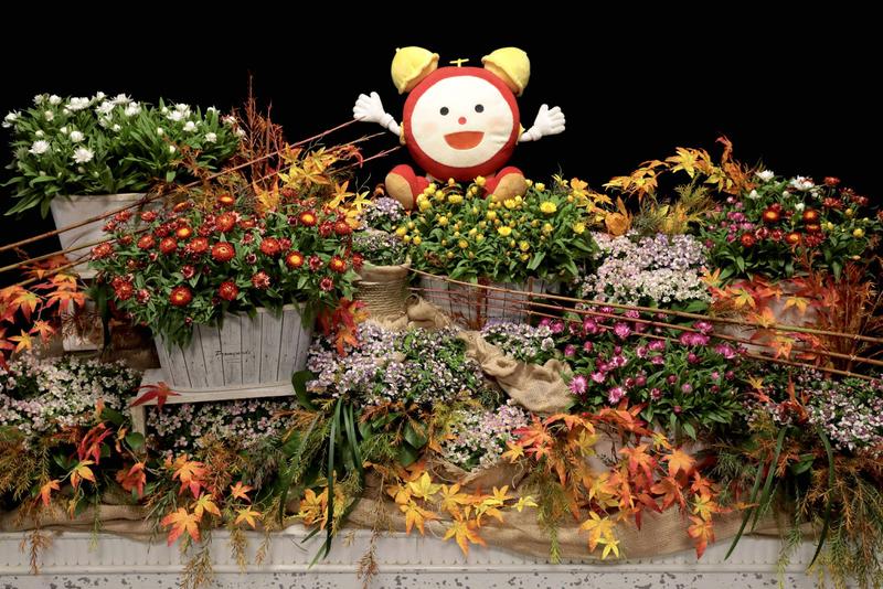 タキイ花苗_251014_メイン①.jpg