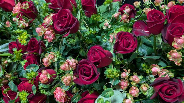 rose_3.jpg