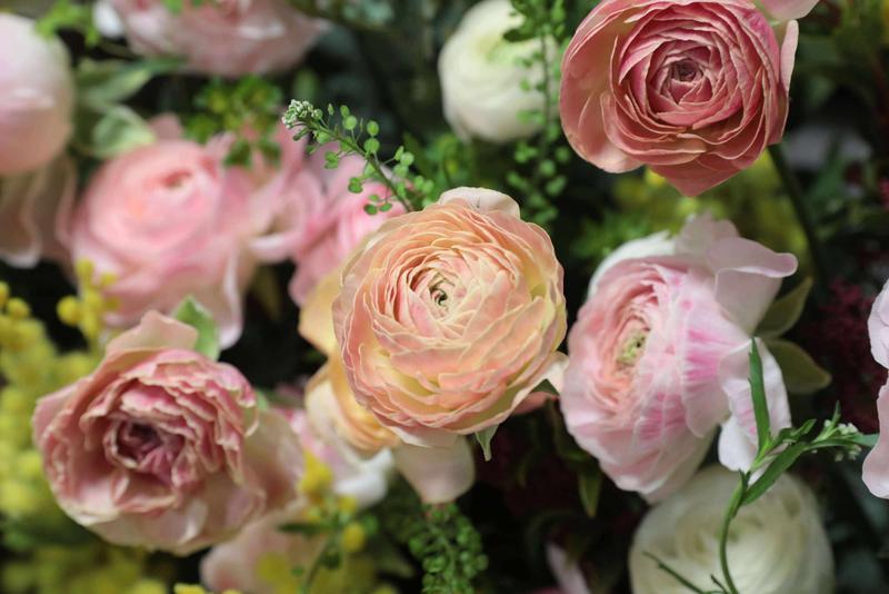 ラナンキュラス (6).jpg