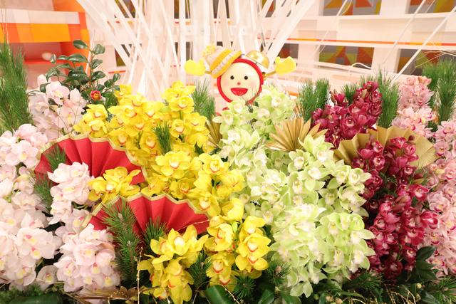 12月29日放送 豪華なシンビジウム | 「めざましテレビ」で紹介された花