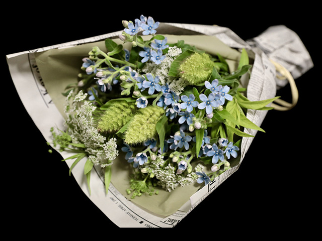 2Z1A6968.jpg