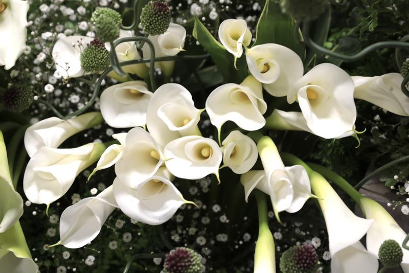 カラー20260310 (3).jpg