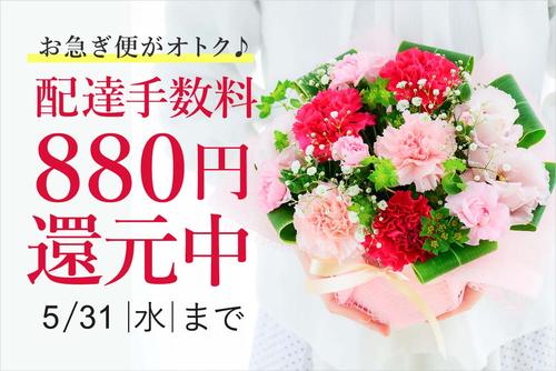 mv_oisogi_通常.jpg
