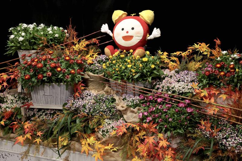 タキイ花苗_251014_メイン②.jpg
