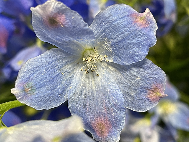 写真 2024-05-13 12 56 42.jpg