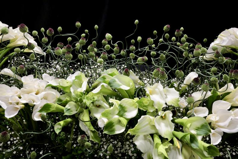 カラー20260310 (23).jpg