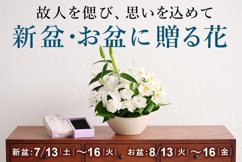 mv_obon24.jpg