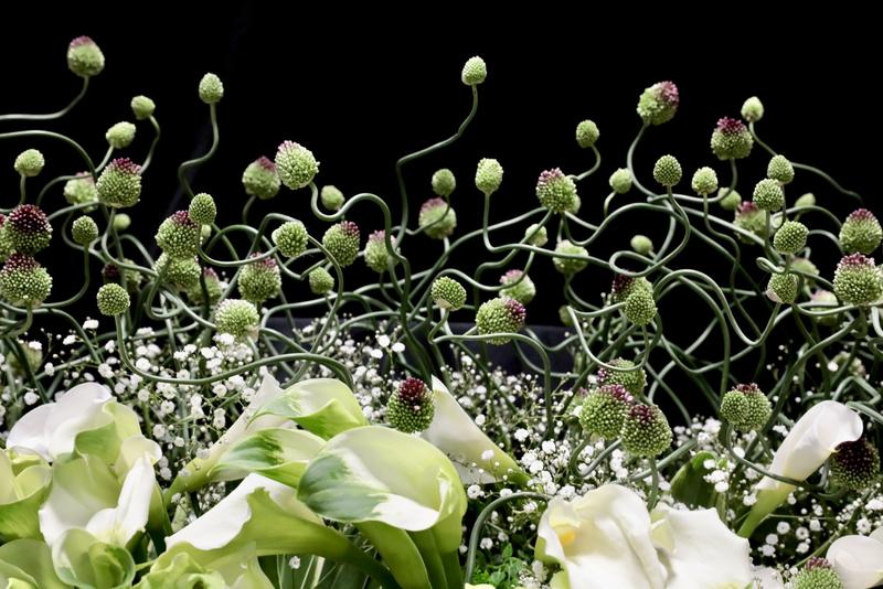 カラー20260310 (10).jpg