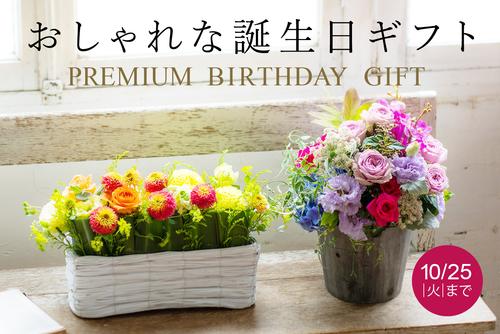 mv_birthday_pre.jpg