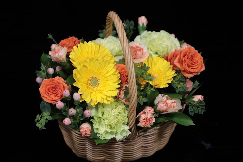 カーネーション20260317 (19).jpg