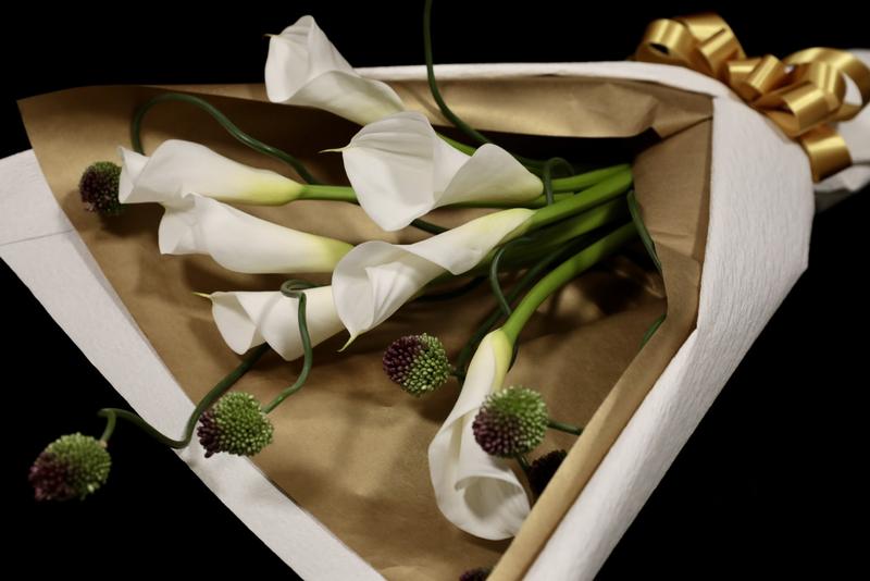 カラー20260310 (1).jpg