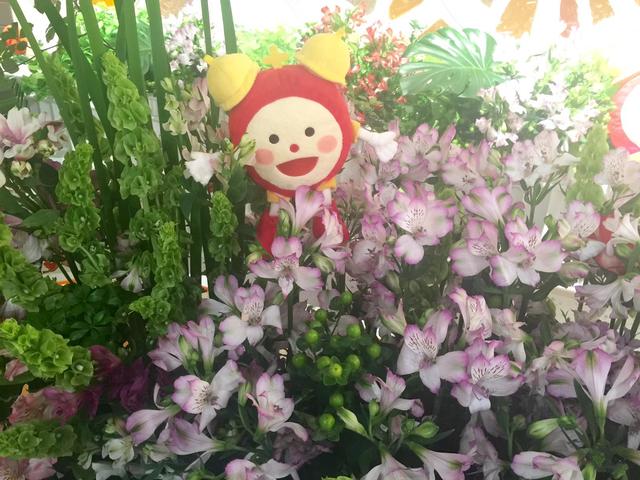ALL1_20160711.jpg
