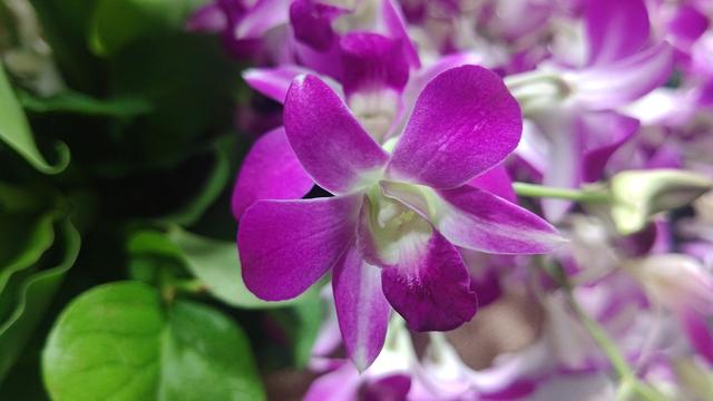 DSC_2923.JPG