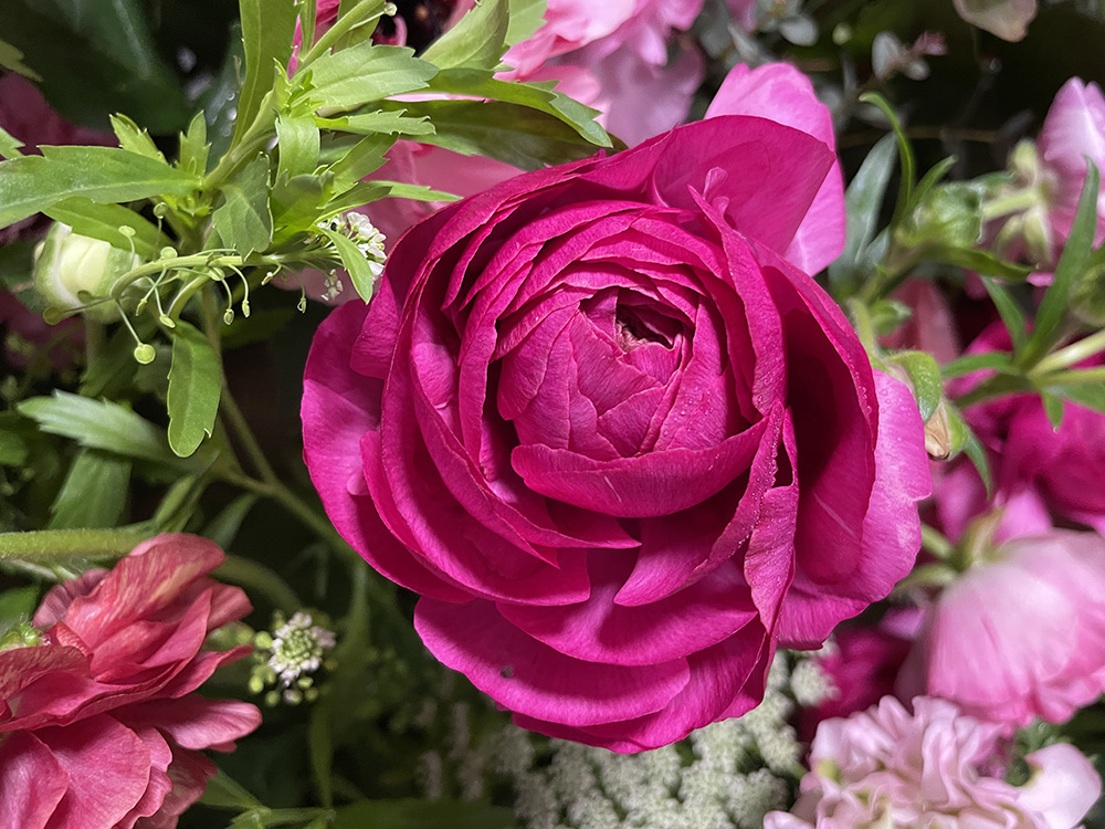 IMG_2684.JPG