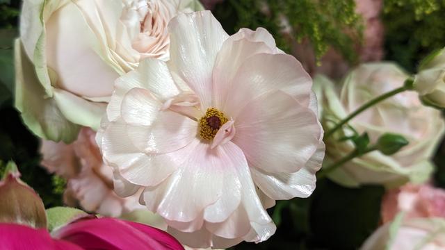 PXL_20240219_054907186.jpg