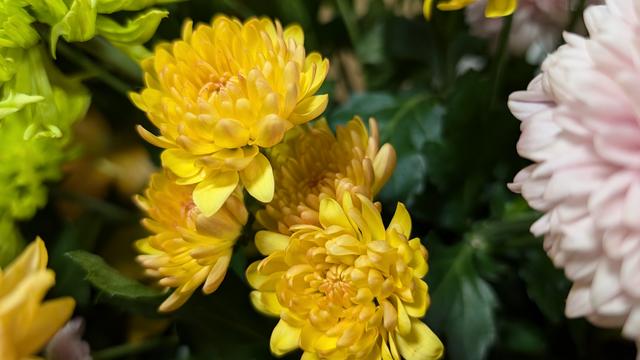 PXL_20241104_021503912.MP.jpg