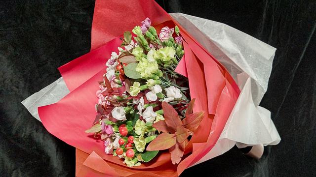 １１月８日放送　まるい花びらが可憐♪中国からやって来たナデシコ「ソロミオシリーズ」