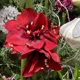 ReIMG_3580.jpg