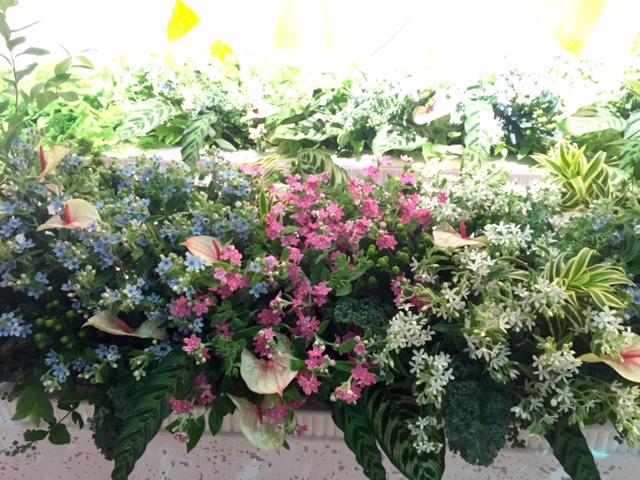 all2_20160606.jpg