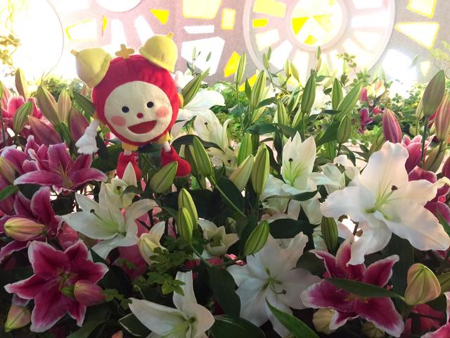 all2_20160718.jpg