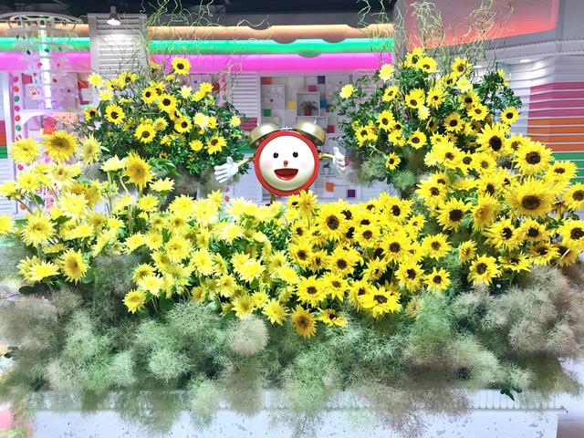 all2_20170612.jpg