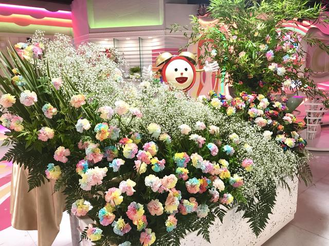 7月3日放送 虹色に咲く レインボーカラーの花 めざましテレビ で紹介された花 フジテレビフラワーネット