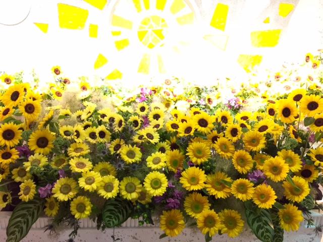 all_20160613.jpg