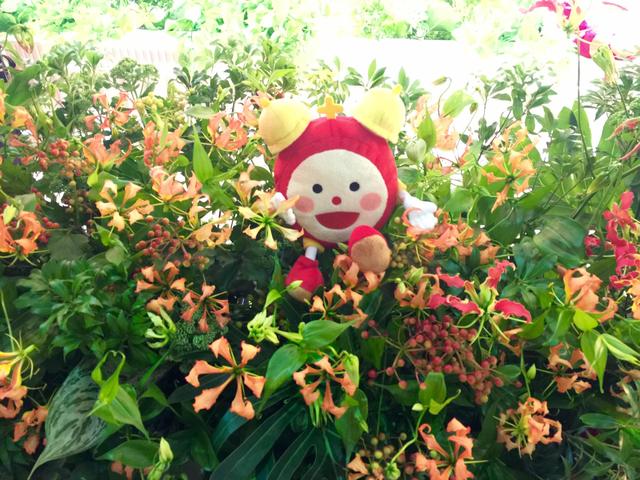 all_20160801.jpg