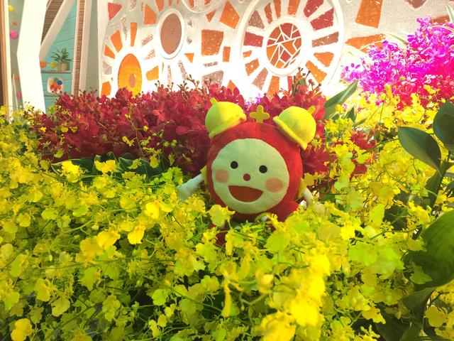 all_20160821.JPG