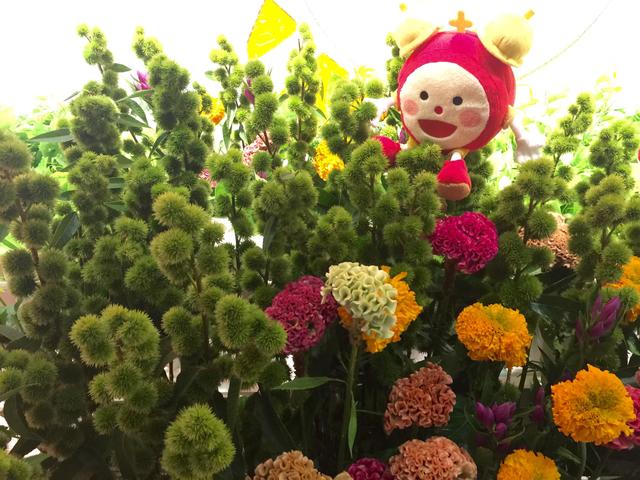 all_20160829.jpg