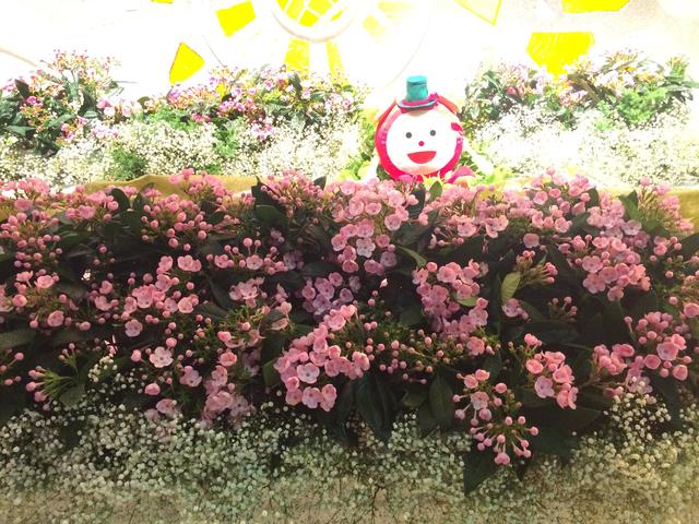 all_20160912.JPG