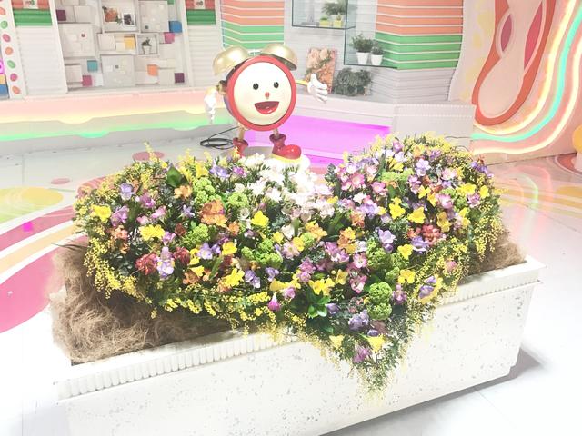 all_20170313.JPG