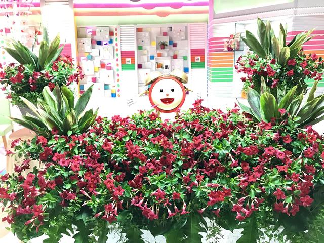 all_20170619.jpg