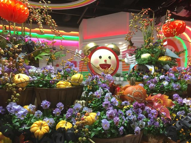 all_20171031.JPG