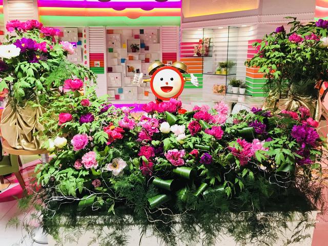 all_20171219.jpg