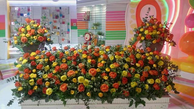 all_20180206.JPG