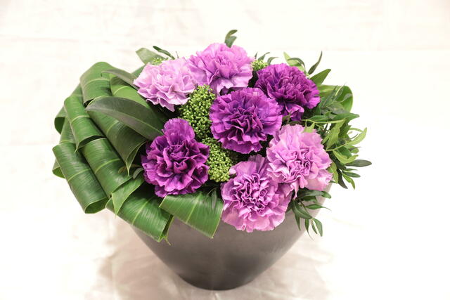 arrangement_20190423.JPG