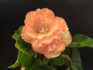 yori_20160919.JPG