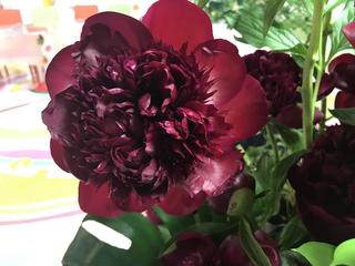 red_20170529.JPG
