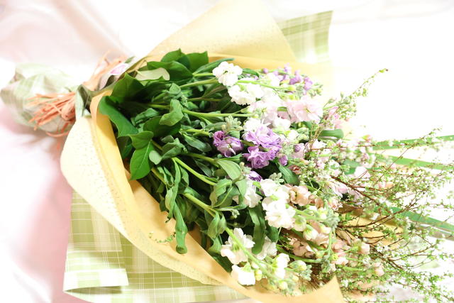 1月30日放送 春の香りを届ける スプレー咲きストック カルテット シリーズ めざましテレビ で紹介された花 フジテレビフラワーネット