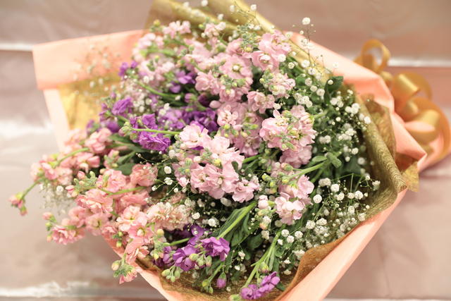 12月26日放送 春の香りをお届け スプレー咲き ストック めざましテレビ で紹介された花 フジテレビフラワーネット